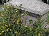 image of grave number 932321